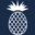 1devonrd.com favicon
